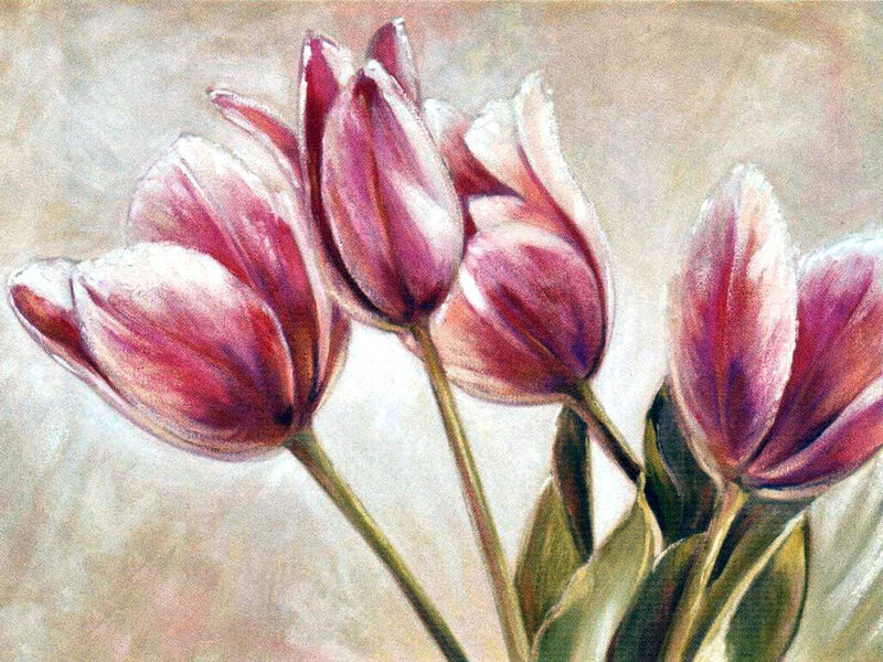 Purple Tulips — Calm