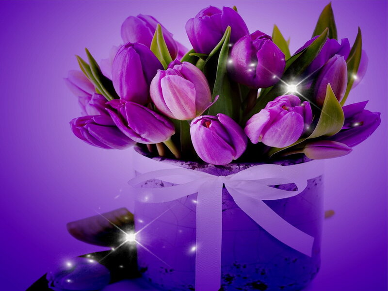 Purple Tulips in a Box — Festive