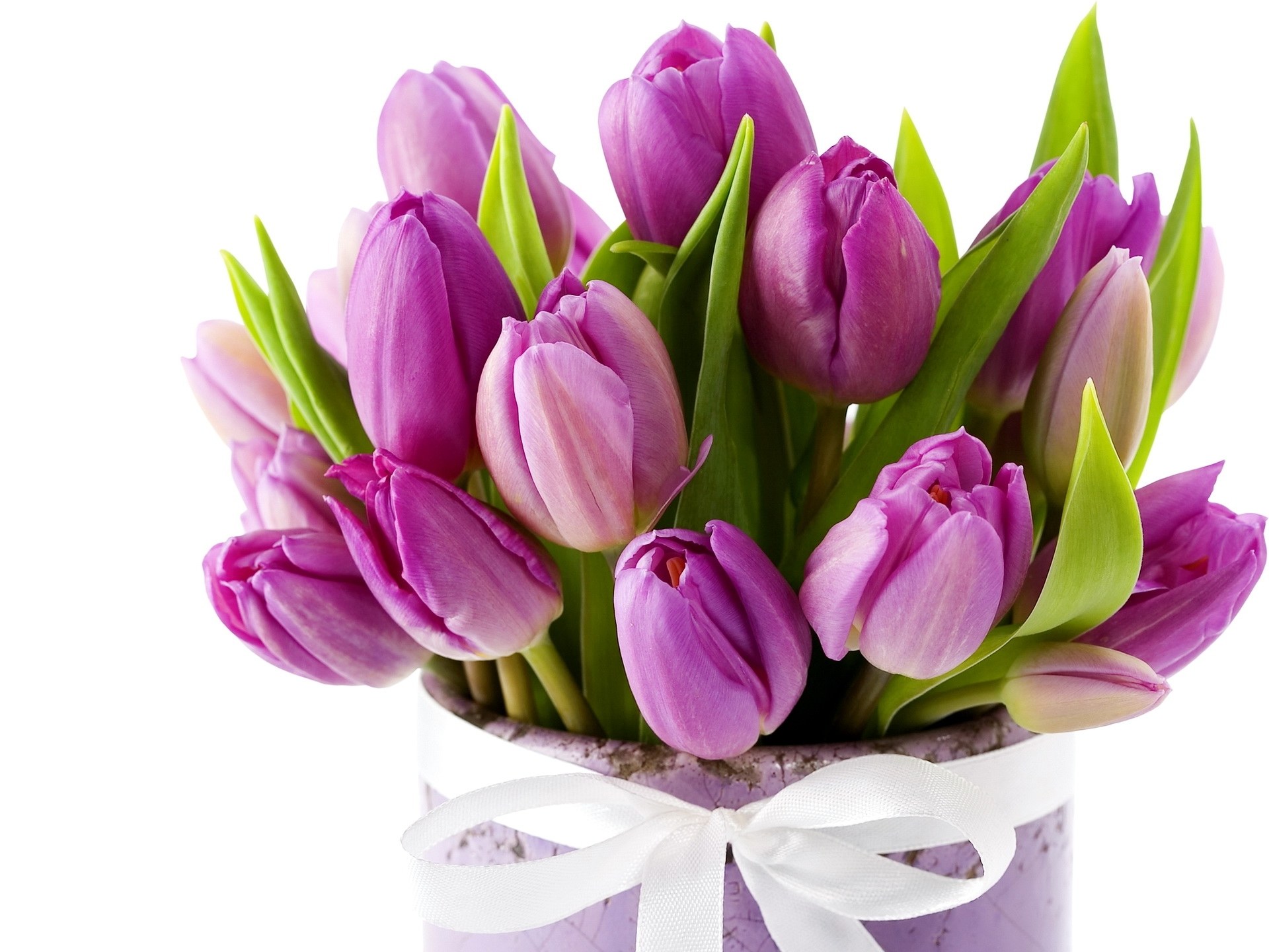 purple tulips in a box