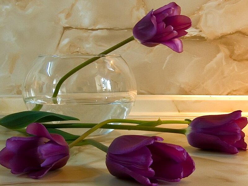 Purple tulips in a glass bowl
