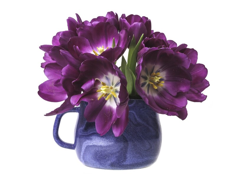 Purple Tulips in a Mug