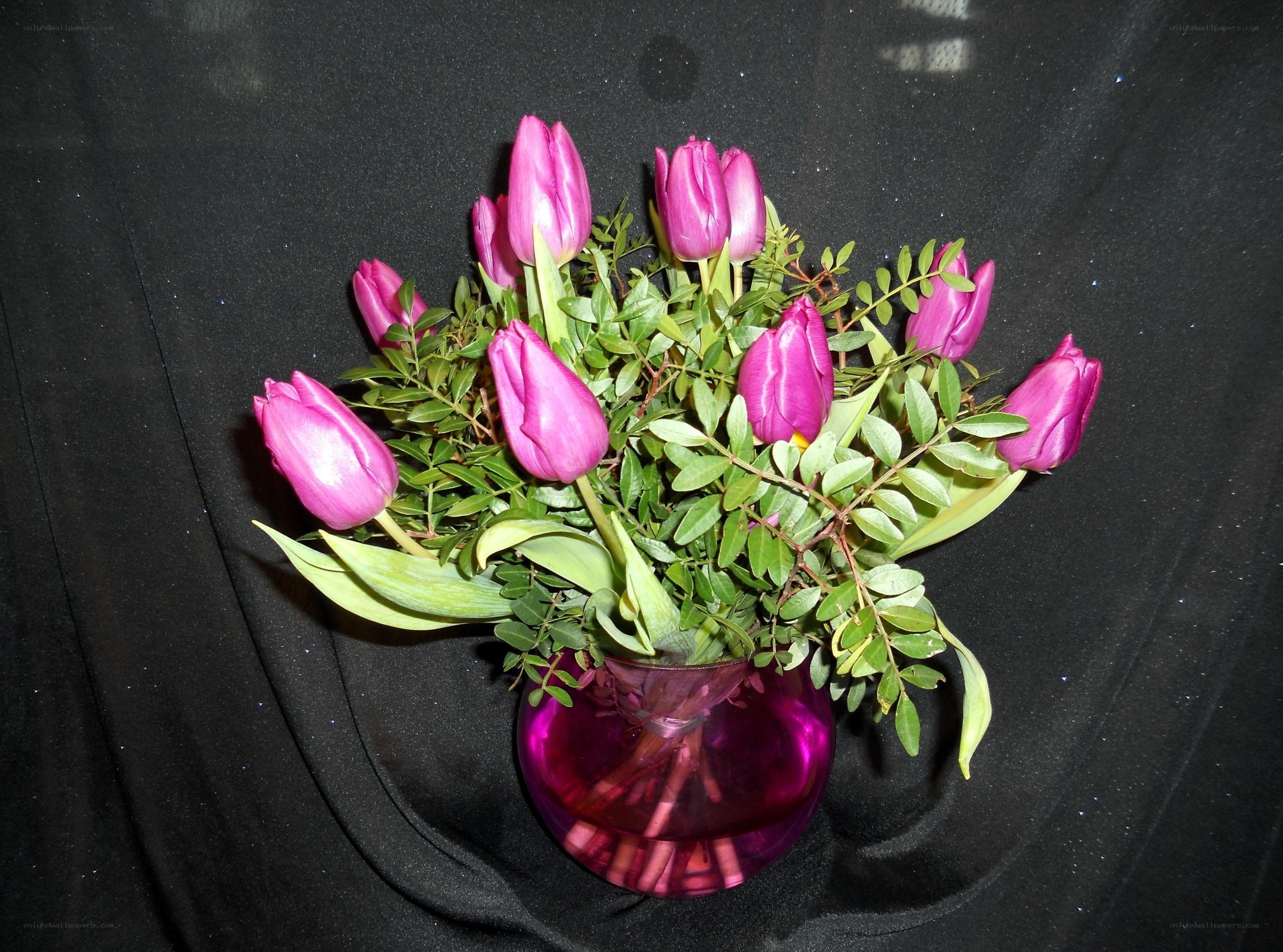 Purple tulips in a vase