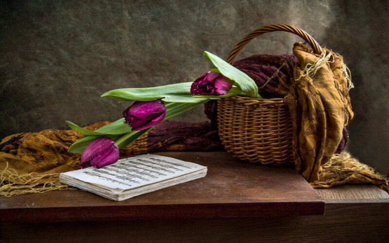 Purple Tulips in Basket — Brown