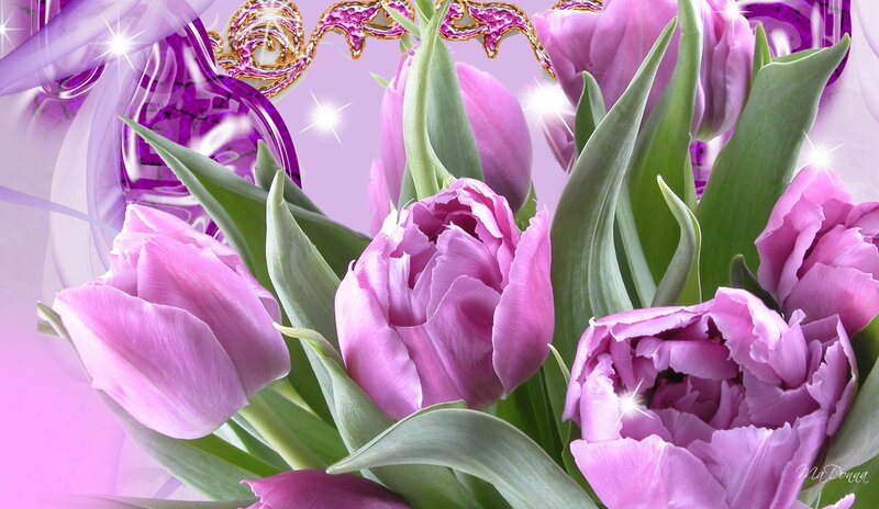 Purple Tulips in Bouquet — Festive