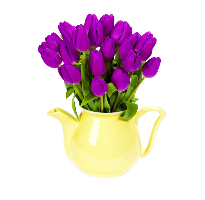 Purple Tulips in Teapot — Calm