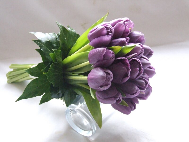 Purple Tulips in Vase — Calm, Photograph, Leaves