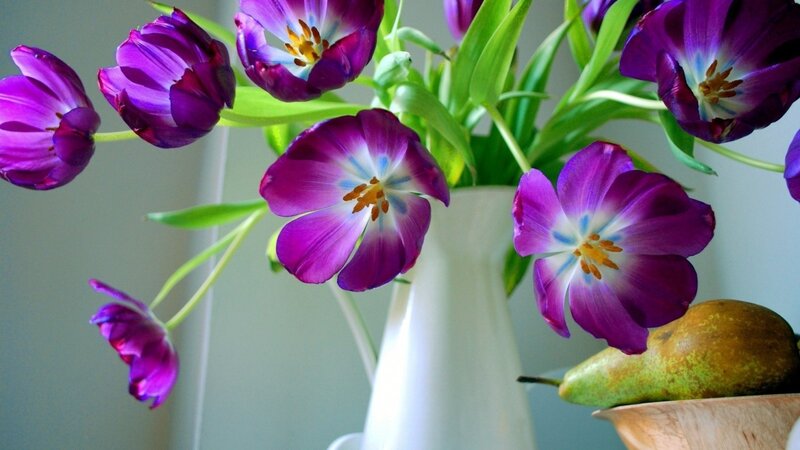 Purple Tulips in Vase — Calm, Photograph, Pear, Green Leaves