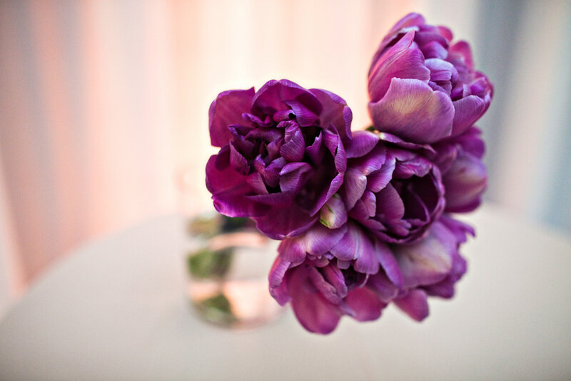 Purple Tulips in Vase — Calm, Photograph, Table