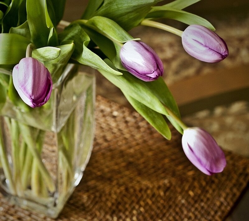 Purple Tulips in Vase — Calm, Photograph
