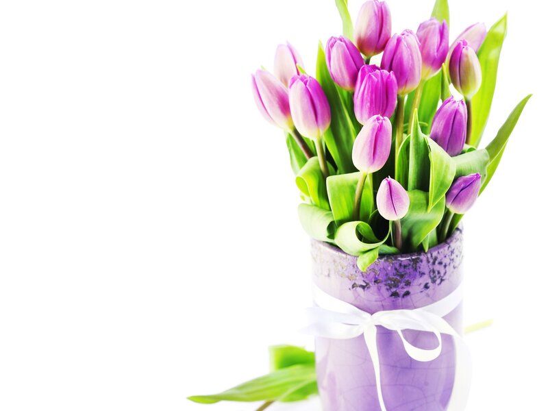 Purple Tulips in Vase — Calm, Spring, Photograph