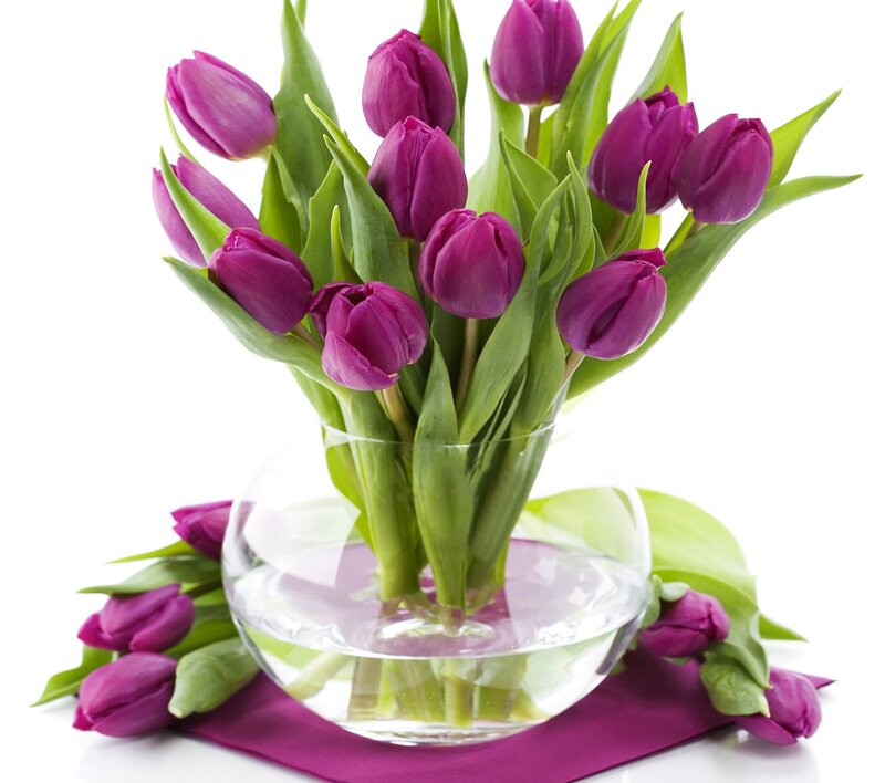 Purple Tulips in Vase — Calm, Spring