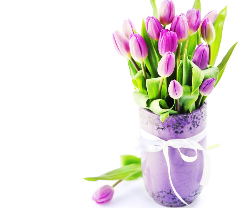 Purple Tulips in Vase — Calm