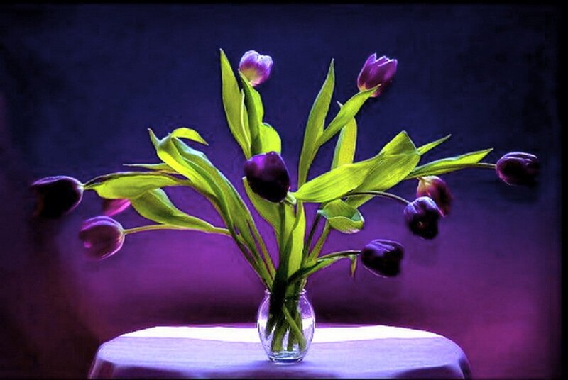 Purple Tulips in Vase — Dramatic, Night, Digital Art