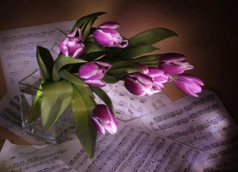 Purple Tulips in Vase — Dramatic, Night, Photograph