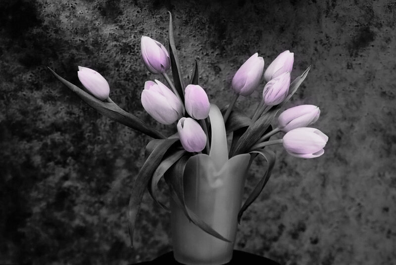 Purple Tulips in Vase — Dramatic, Photograph, Flowers