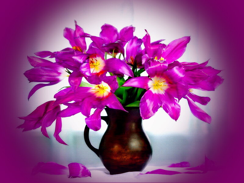 Purple Tulips in Vase — Dramatic, Photograph, Petals