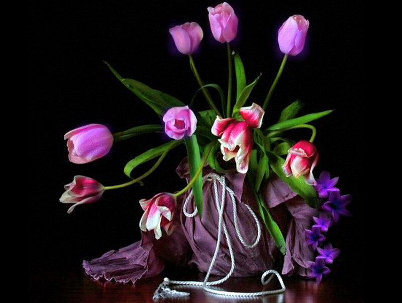Purple Tulips in Vase — Dramatic