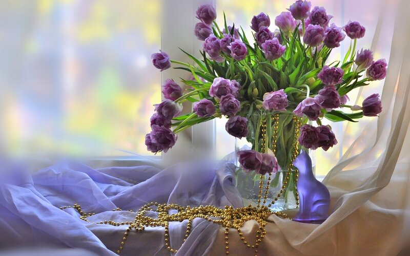 Purple Tulips in Vase — Serene, Afternoon