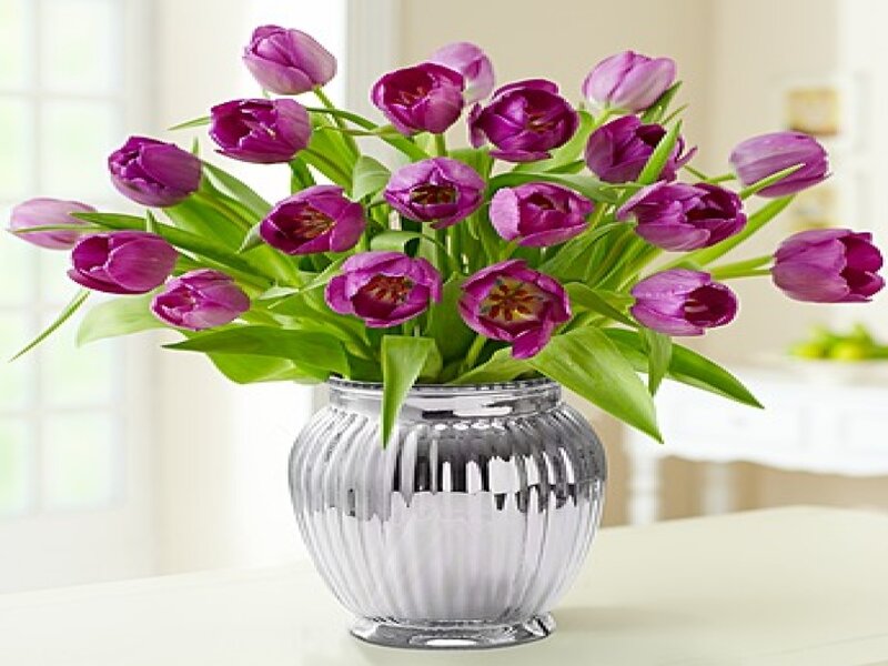 Purple Tulips in Vase — Serene, Morning, Photograph, Table