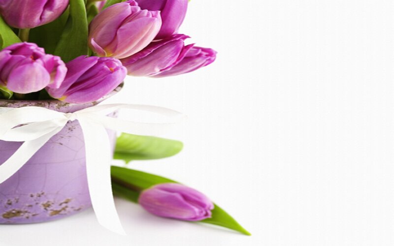 Purple Tulips in Vase — Serene, Photograph, Ribbon