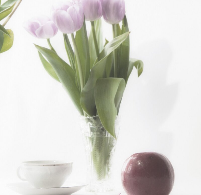 Purple Tulips in Vase — White, Serene