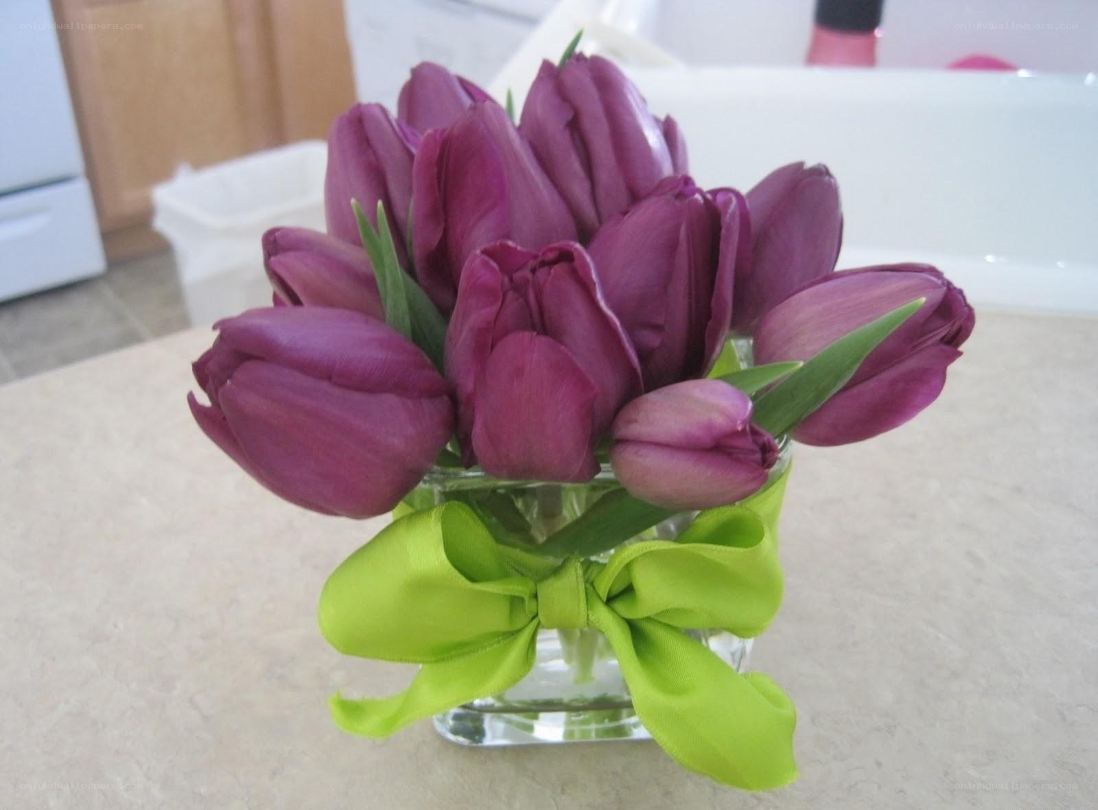 purple tulips in vase