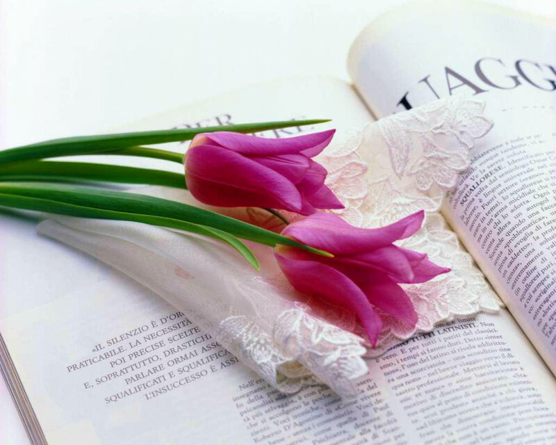 Purple Tulips on Book — Pink