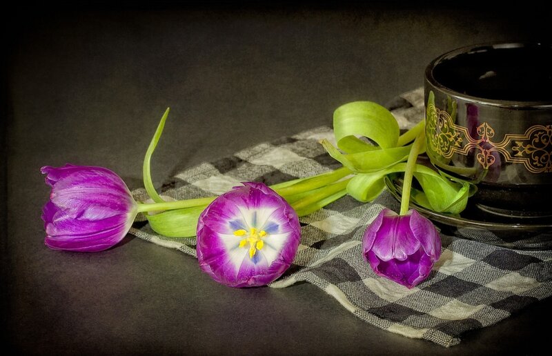 Purple Tulips on Cloth