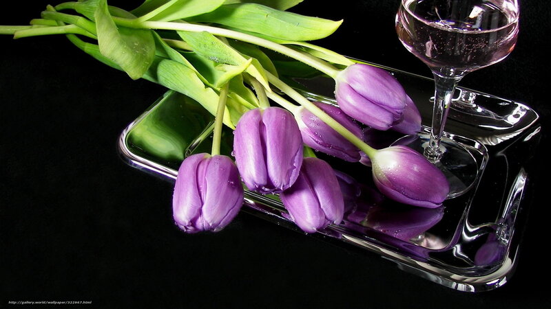 Purple tulips on glass tray