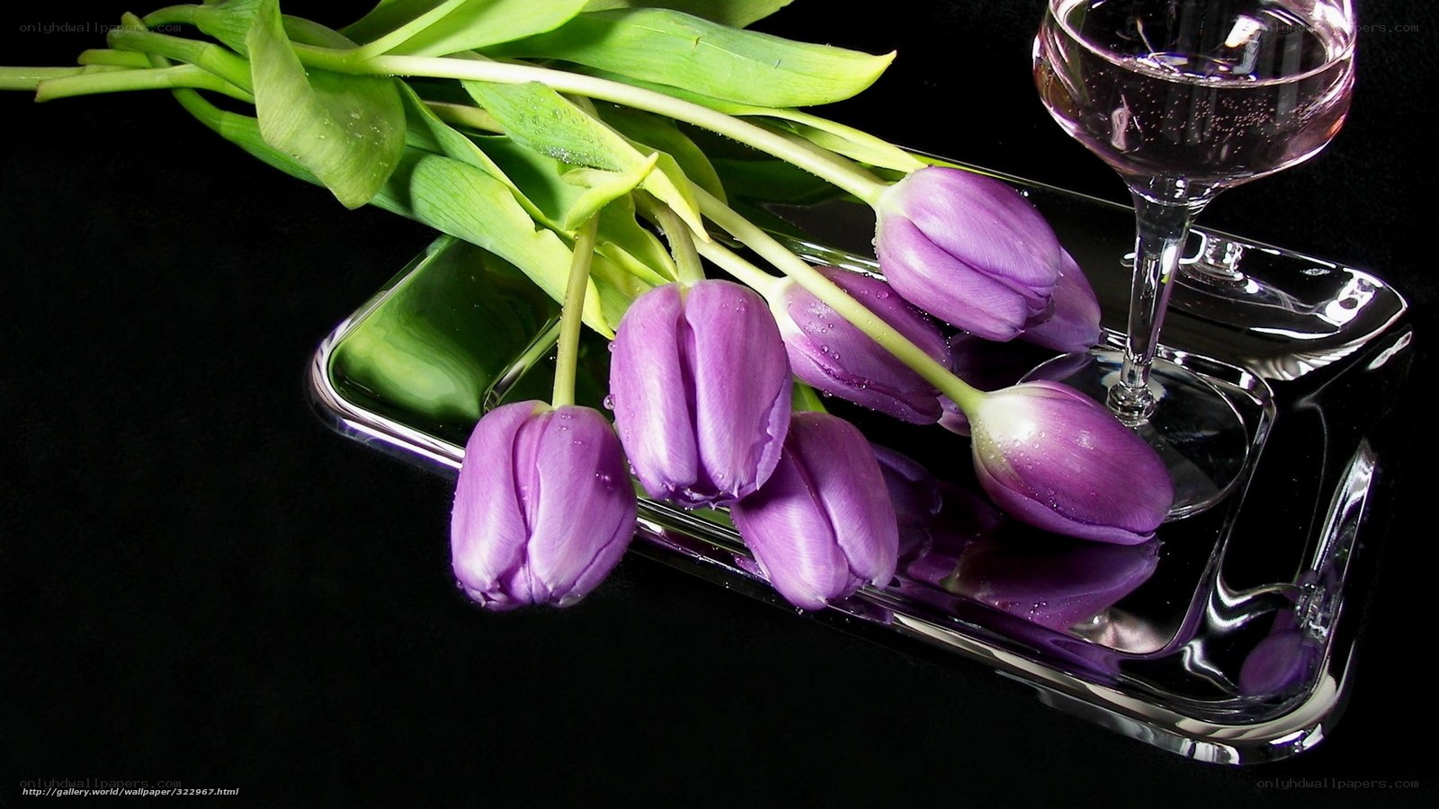 Purple tulips on glass tray