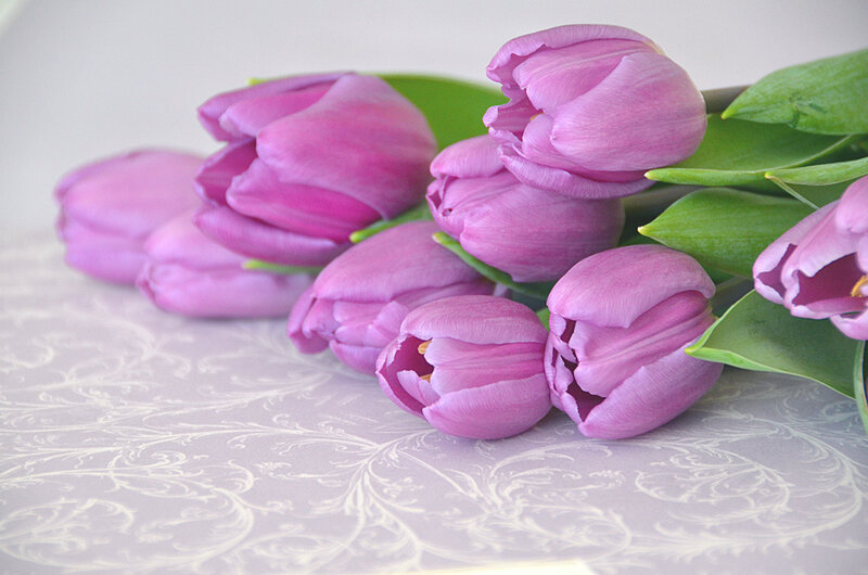 Purple Tulips on Table