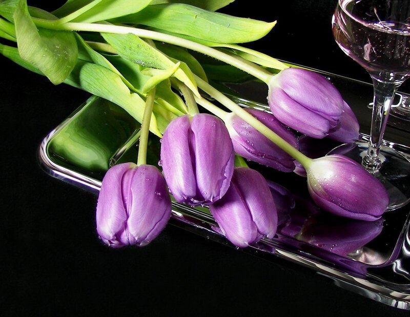 Purple Tulips on Tray