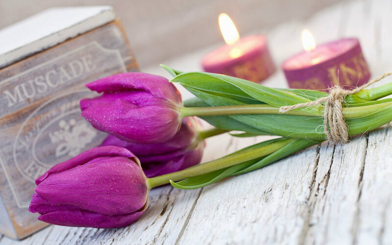 Purple Tulips on Wood — Serene