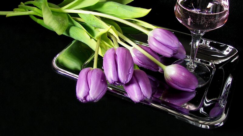 purple tulips with wine glass