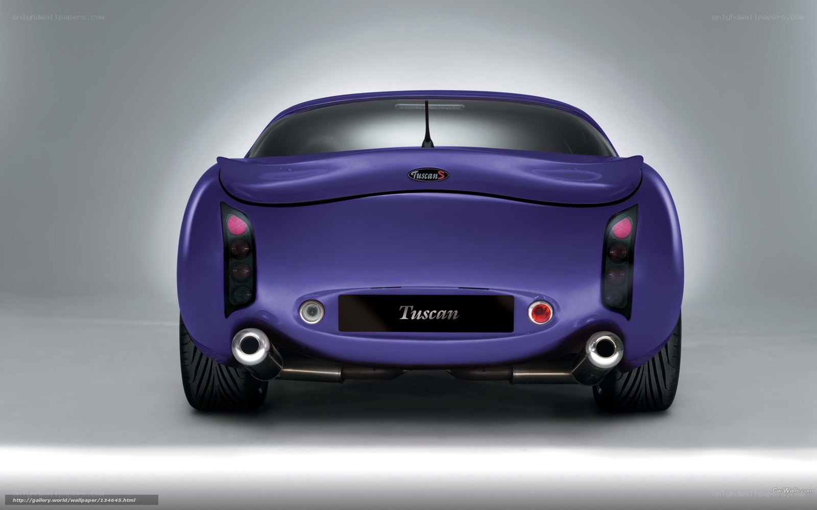 Purple Tuscan sports car rear view