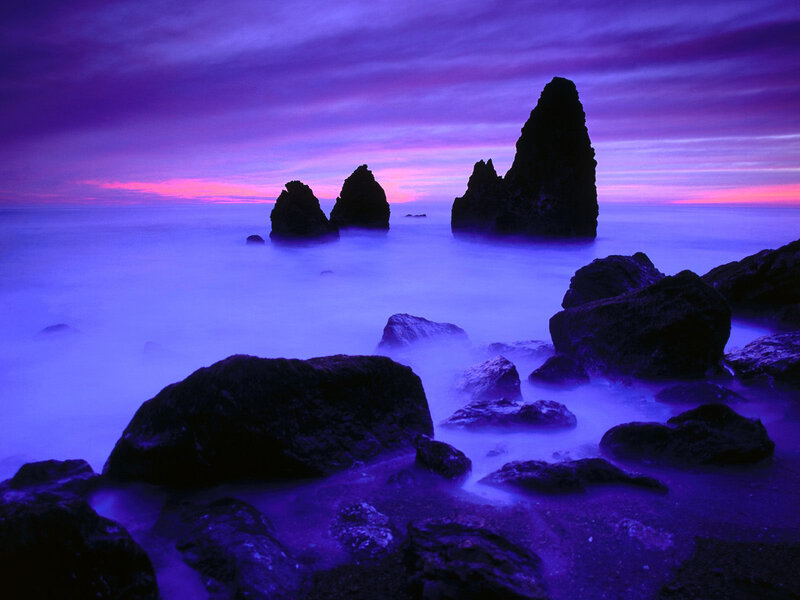 Purple twilight at the rocky shore