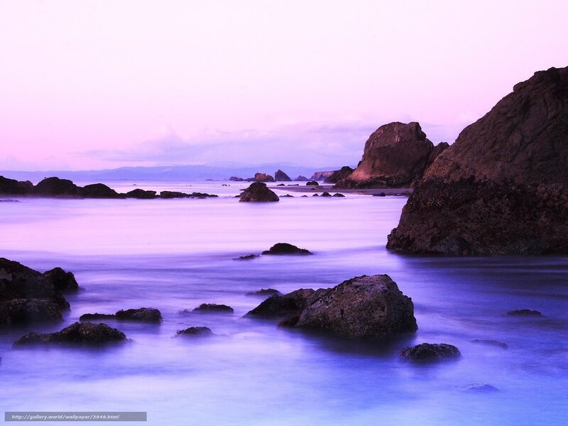 Purple twilight at the rocky shore