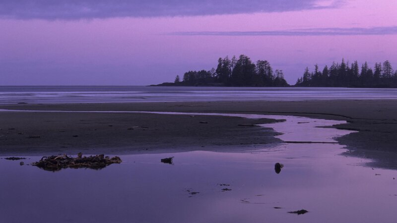 purple twilight beach scene