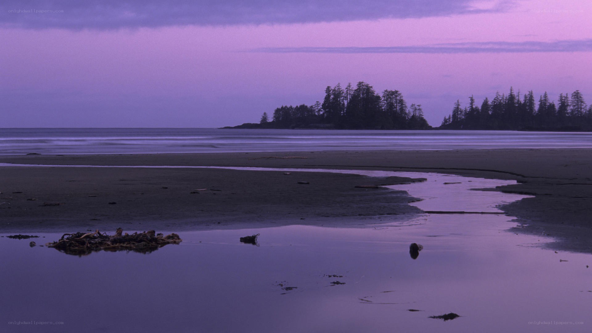 purple twilight beach scene