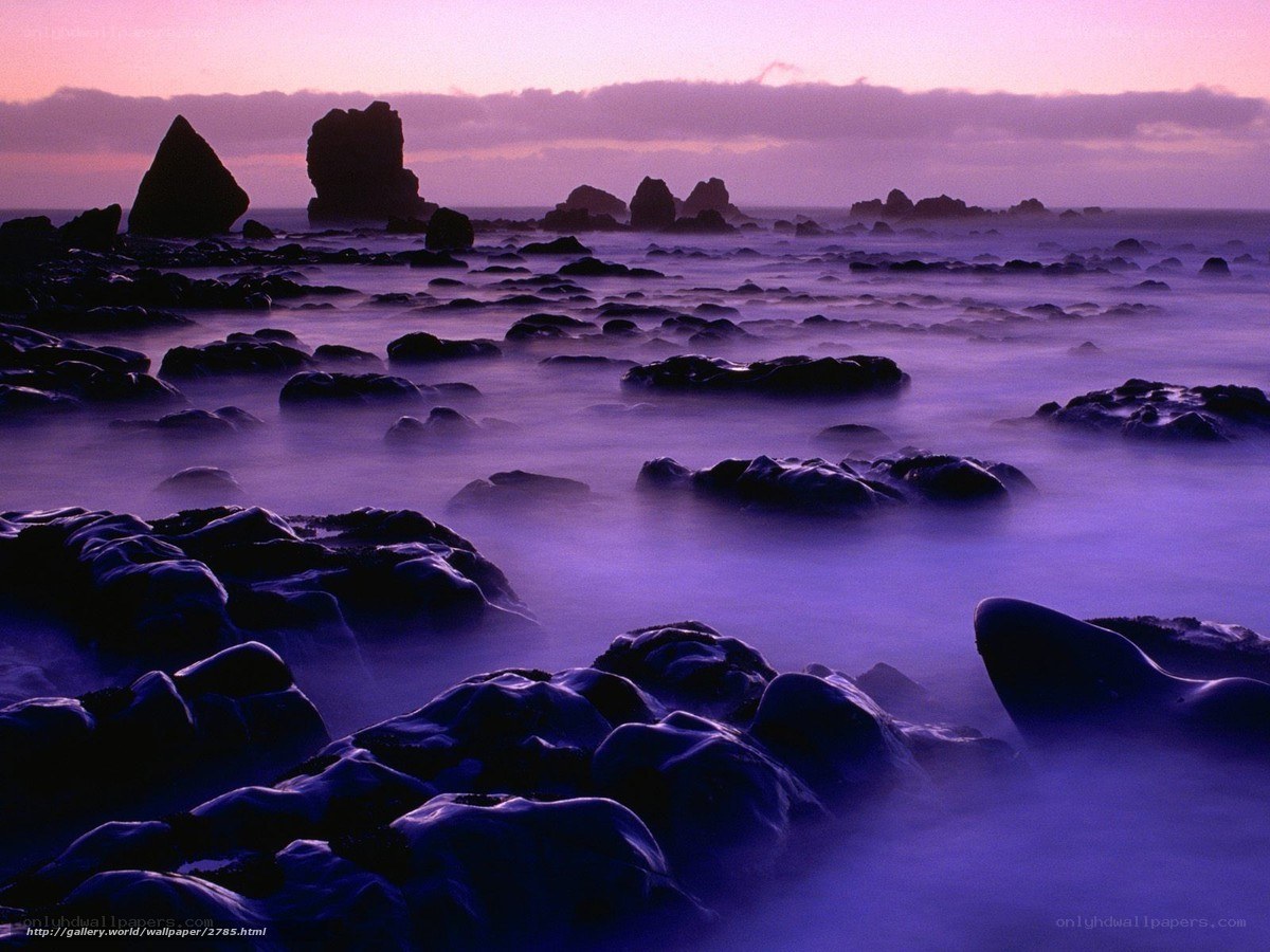 Purple twilight on rocky shore