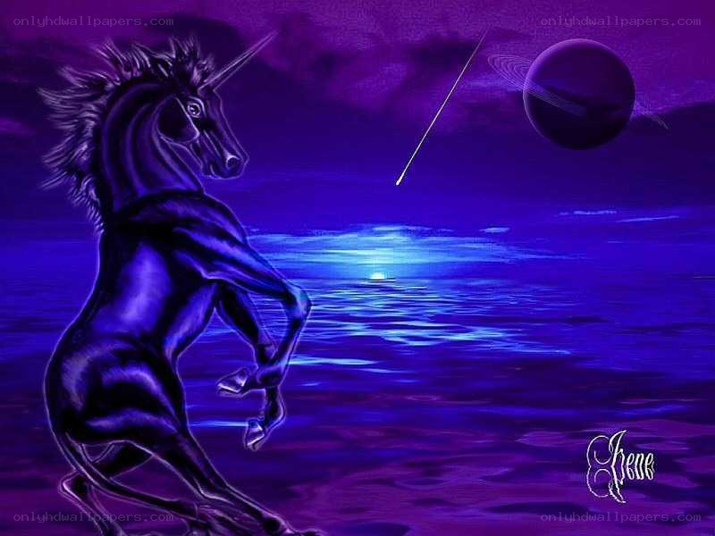 purple unicorn on a beach