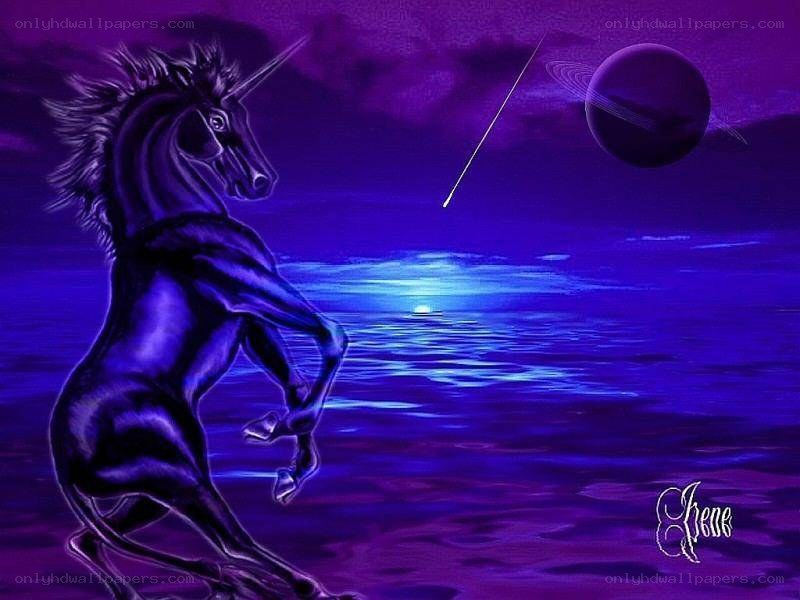 purple unicorn on a beach