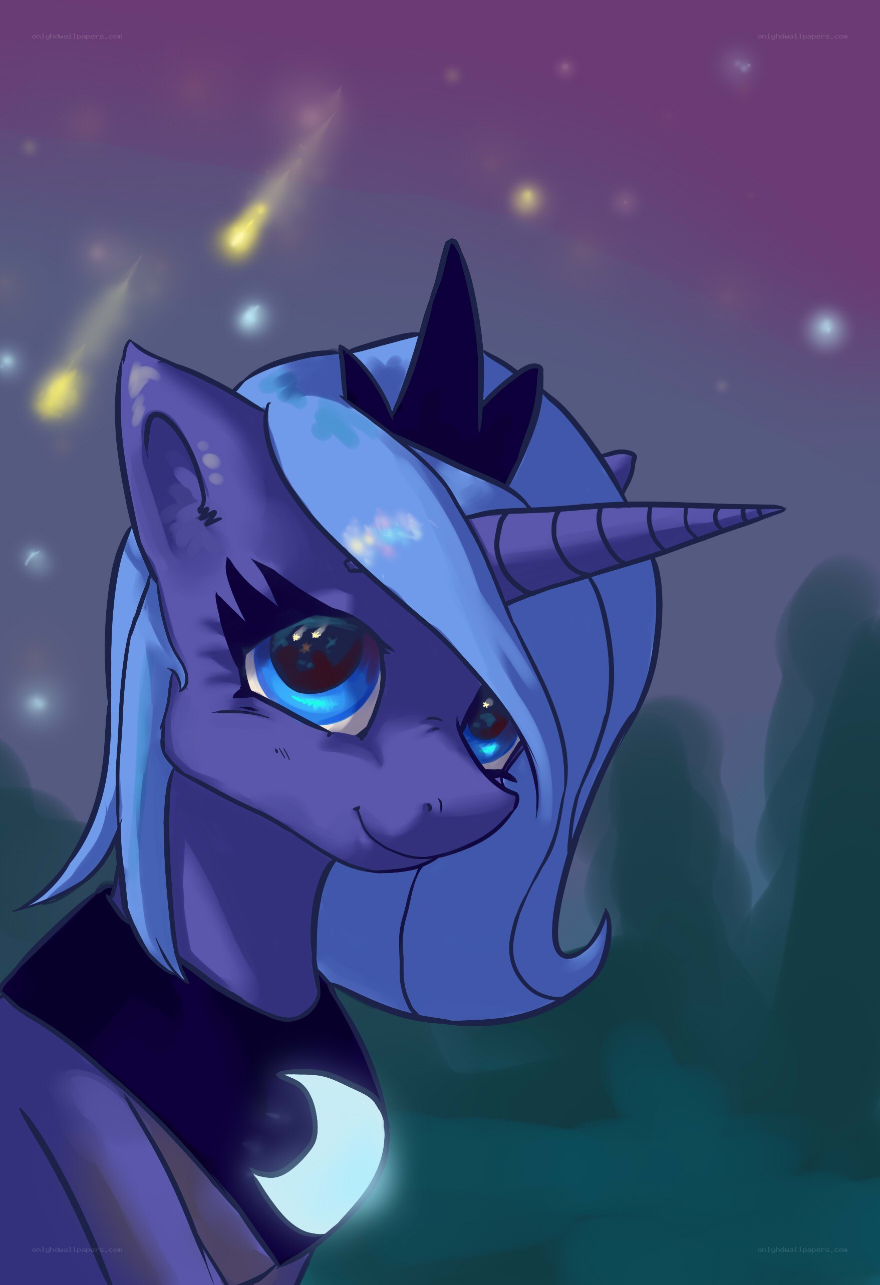 purple unicorn pony under stars