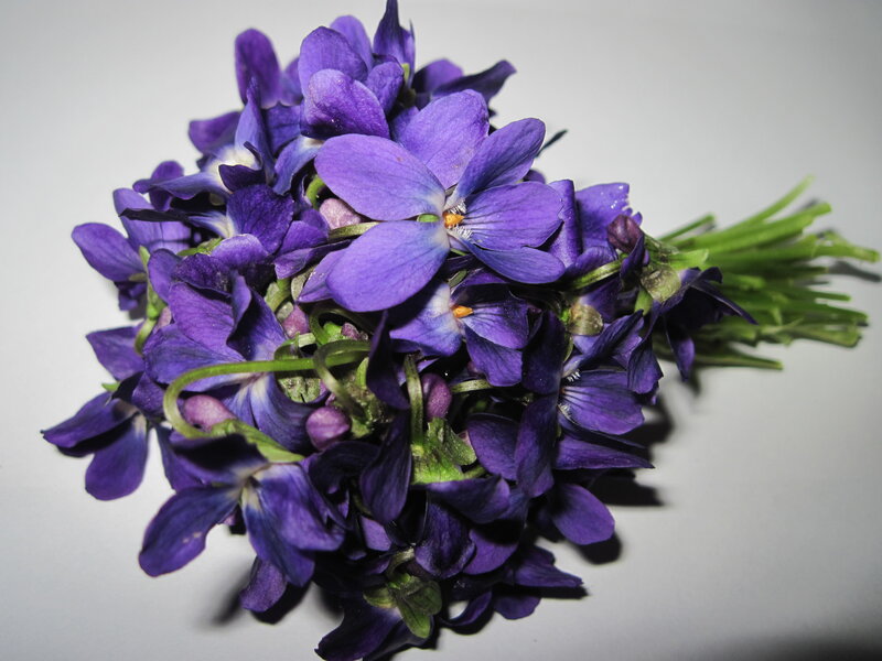 Purple Violets Bouquet — Calm