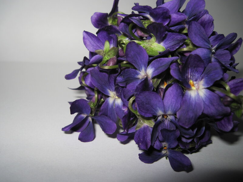 Purple Violets Bouquet