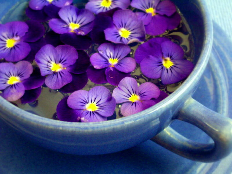 Purple Violets in a Cup