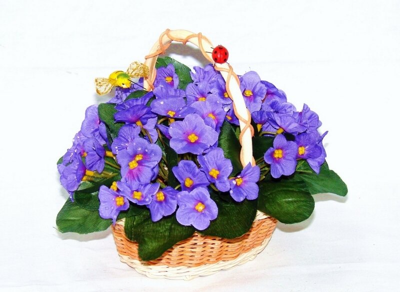 Purple Violets in Basket — Calm