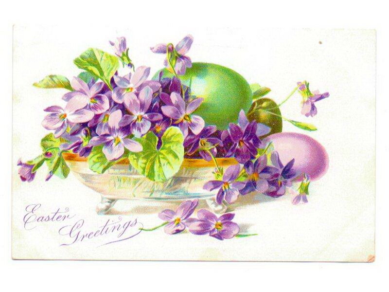 Purple Violets in Bowl — Festive