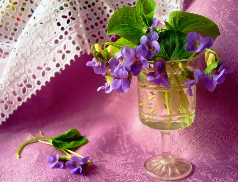 Purple Violets in Glass