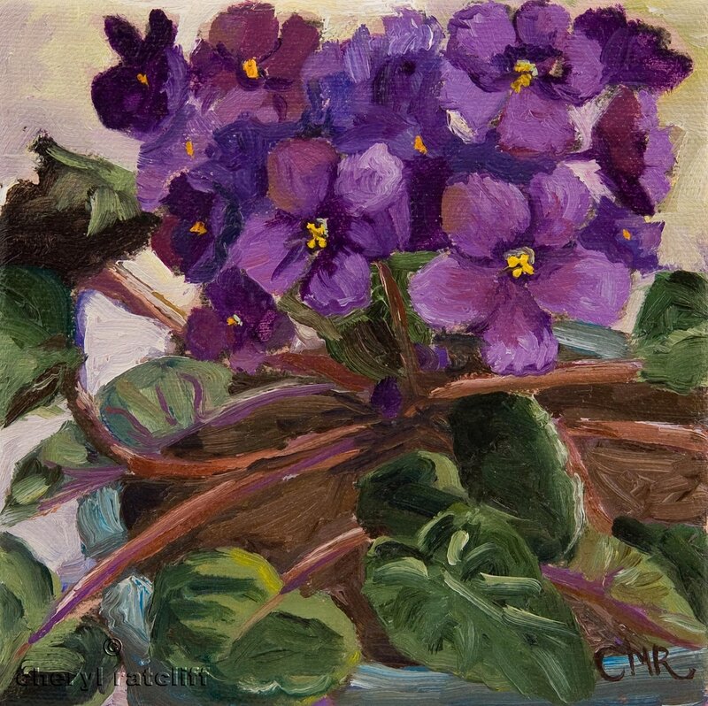 Purple Violets in Pot
